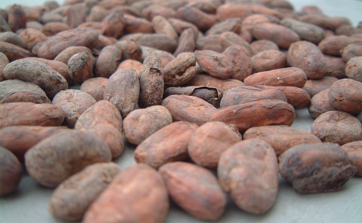 474518_r_k_by_markus-wacker_pixelio-de