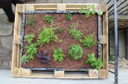 Pflanzkasten_v_oben-180x119
