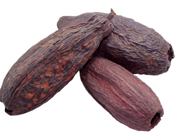 Kakaoschote, Schokladenfrucht getrocknet
